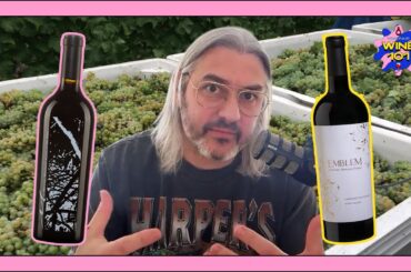 Mondavi Part IV Explained: Napa Drama, Family Conflict, & a French Baron | Wine 101