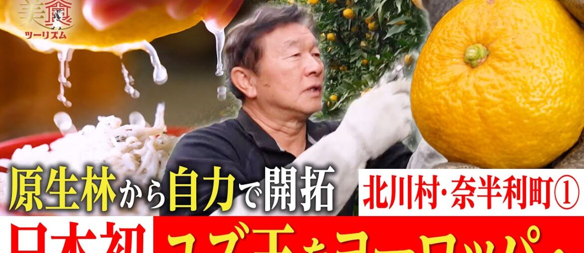 【日本発😲🍋】ユズ玉をヨーロッパに広めたカリスマ農家！原生林を自力で開拓・北川村・奈半利町①｜奇跡の美食ツーリズム #高知 #高知グルメ #高知旅行