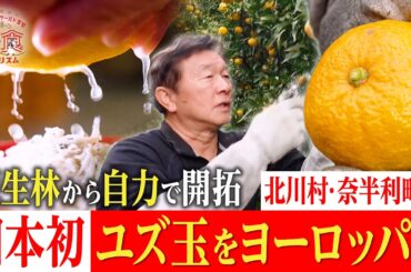 【日本発😲🍋】ユズ玉をヨーロッパに広めたカリスマ農家！原生林を自力で開拓・北川村・奈半利町①｜奇跡の美食ツーリズム #高知 #高知グルメ #高知旅行