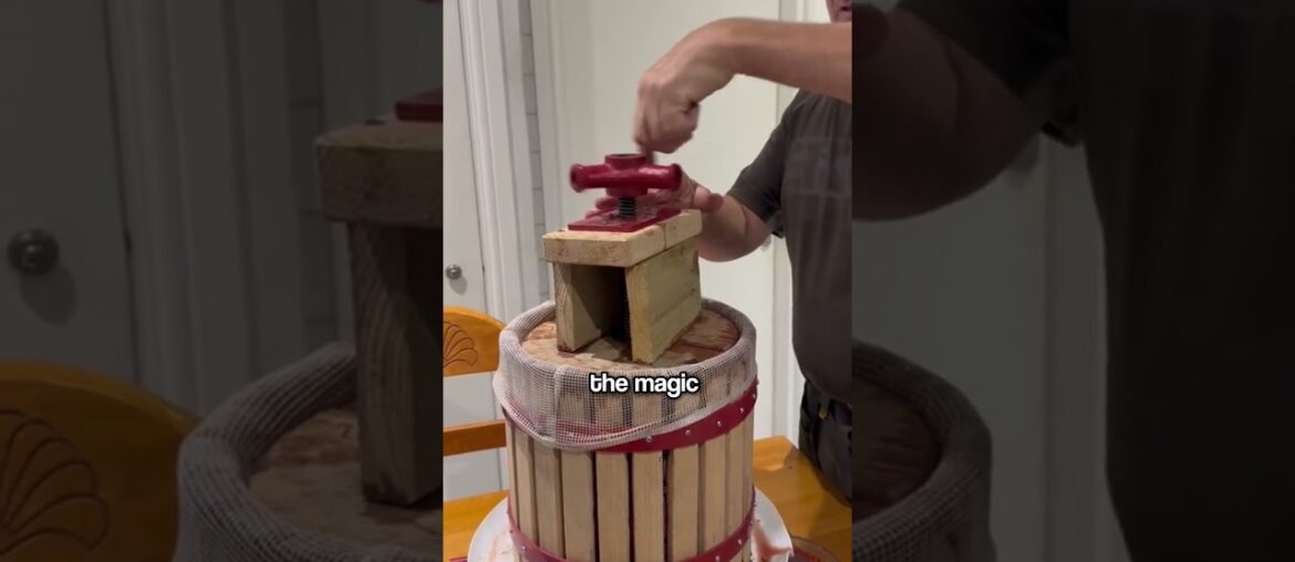 The Secret Process That Turns Simple Grapes Into Expensive Wine 🍷 The Secret Process That Turns Simple Grapes Into Expensive Wine 🍷