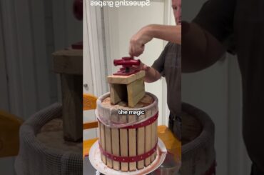 The Secret Process That Turns Simple Grapes Into Expensive Wine 🍷