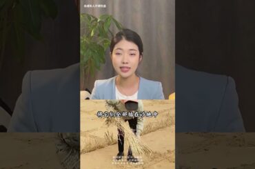 法国人眼里屁用没有的草格子，如今已成为了震惊世界的中国魔方 #帝月