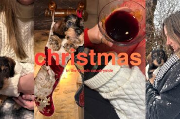 xmas in occitanie france w/ a new puppy