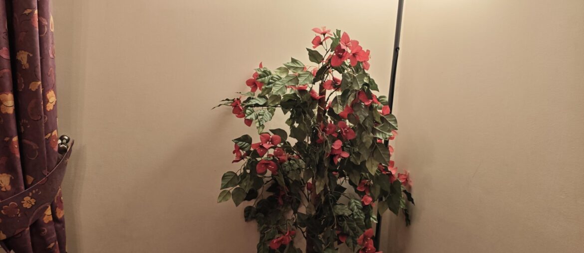 Are there things that need improvement or change?