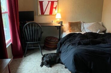 where do i go from here?