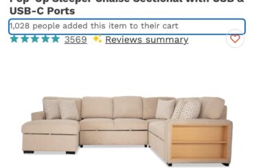 Help deciding on couch/recliner color