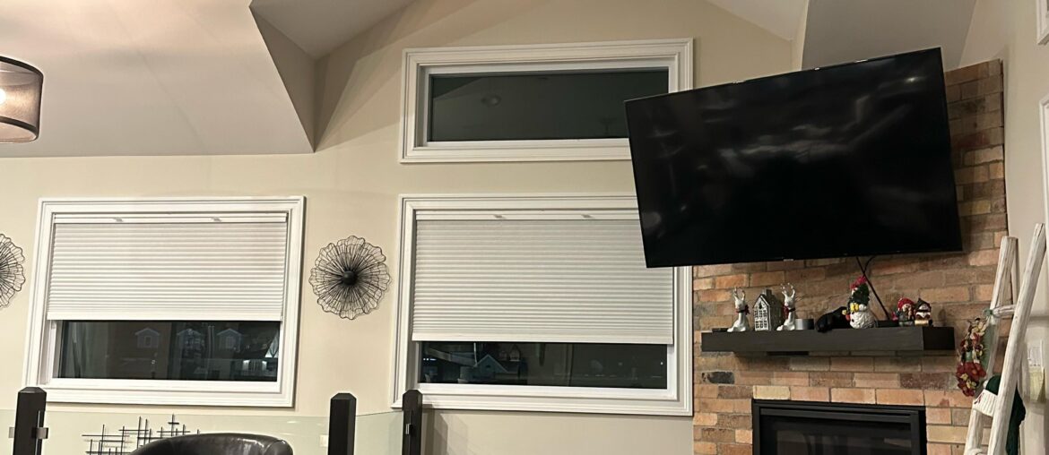 Christmas tree was perfect there. Now what?