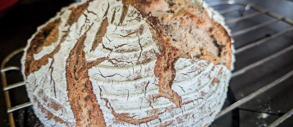 Homemade rye/wheat bread with two different sour doughs