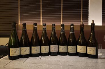 🦄 Aurelien Lurquin flight