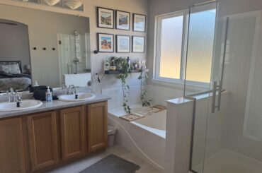 Bathroom Redesign