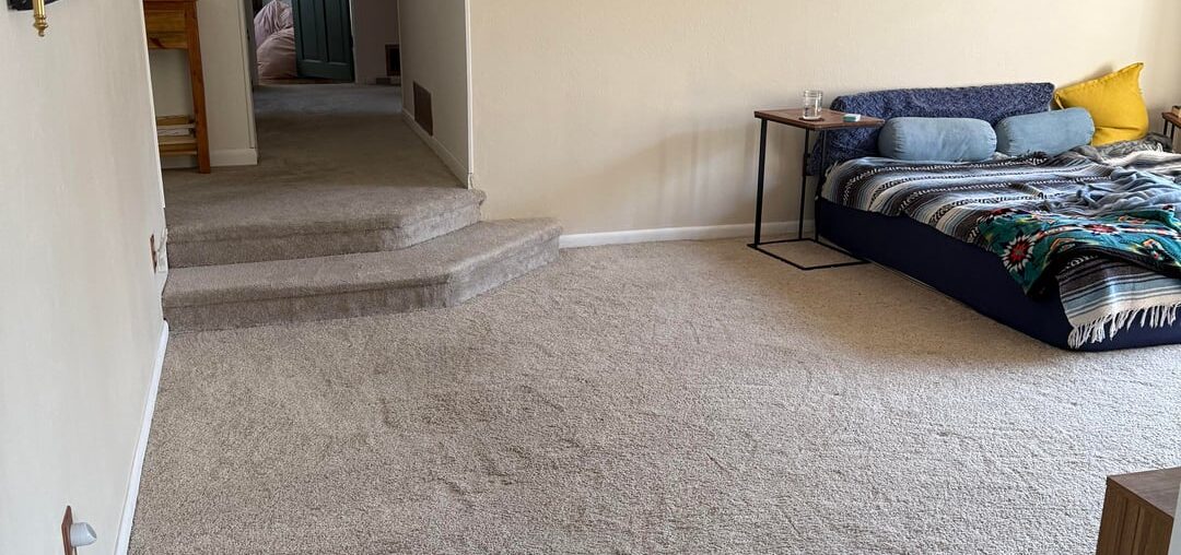 Ideas for living/lounge area