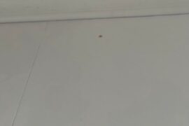 Stains on newly installed wallpaper