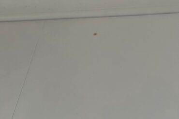 Stains on newly installed wallpaper