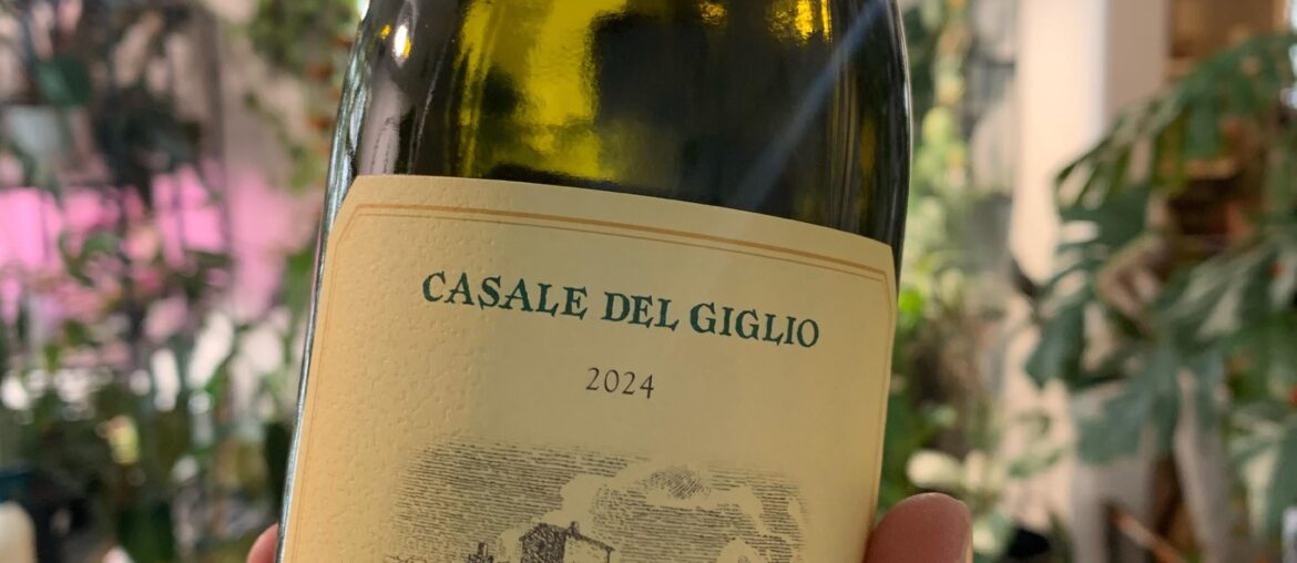 Bellone- another random Italian white variety that overdelivers