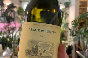 Bellone- another random Italian white variety that overdelivers