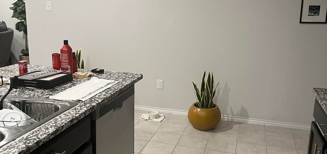 What can I do with this wall?