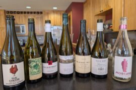 Fun in the Land Down Under