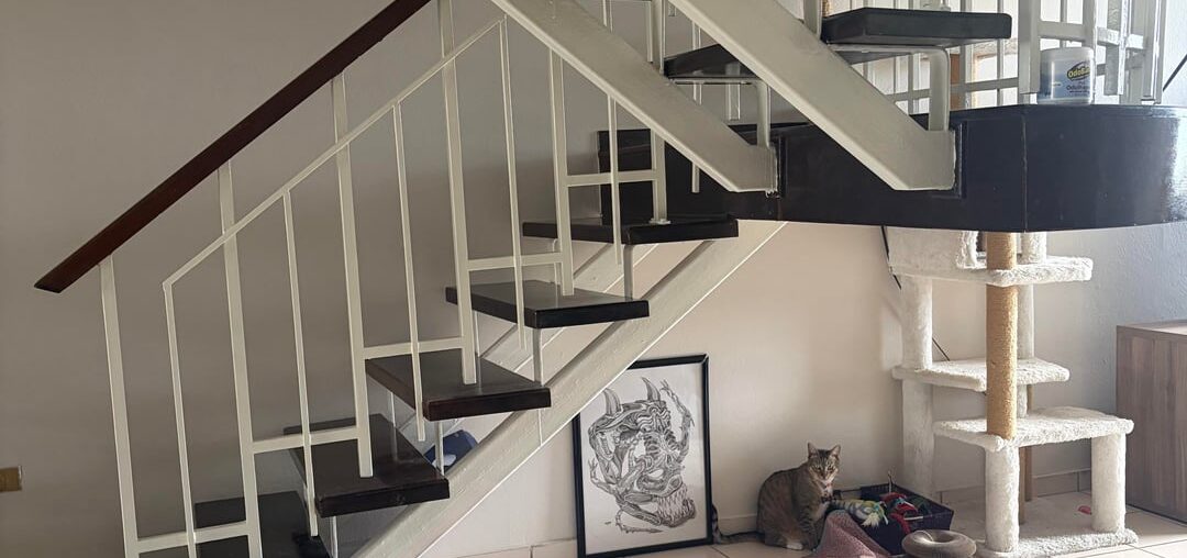 What to do for this space under the stairs?