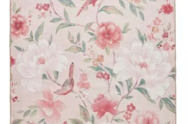 Help! Need To Order Today!