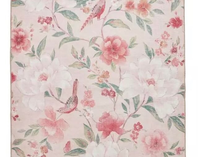 Help! Need To Order Today! Help! Need To Order Today!