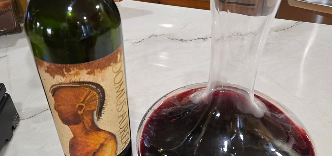 2019 Domus Aurea Cabernet