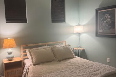 Update: made some solid progress on my guest suite!