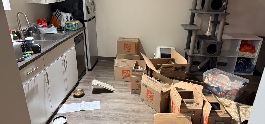 Ways to add storage to kitchen without it looking cluttered Ways to add storage to kitchen without it looking cluttered