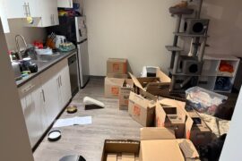 Ways to add storage to kitchen without it looking cluttered