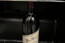 Tips for drinking tonight?