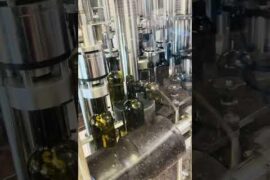 Winery Tour: Bottling Day