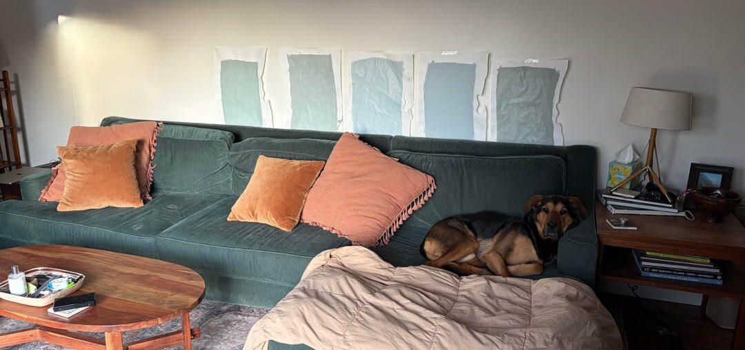 Looking for help navigating indecision paralysis on paint color for our den.