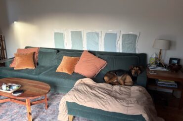 Looking for help navigating indecision paralysis on paint color for our den.