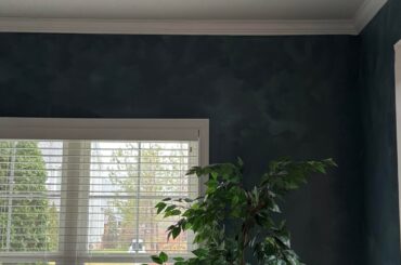 What do you think of this limewash?