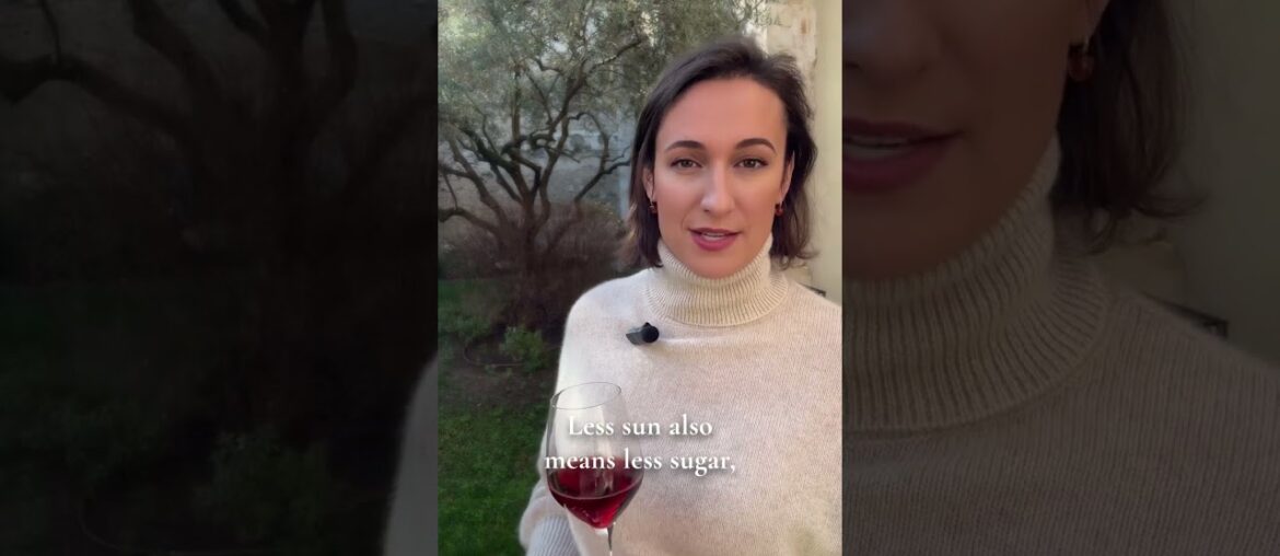 When I taste the North in a wine #wineeducation  #winetasting  #frenchwine