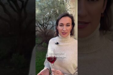 When I taste the North in a wine #wineeducation  #winetasting  #frenchwine