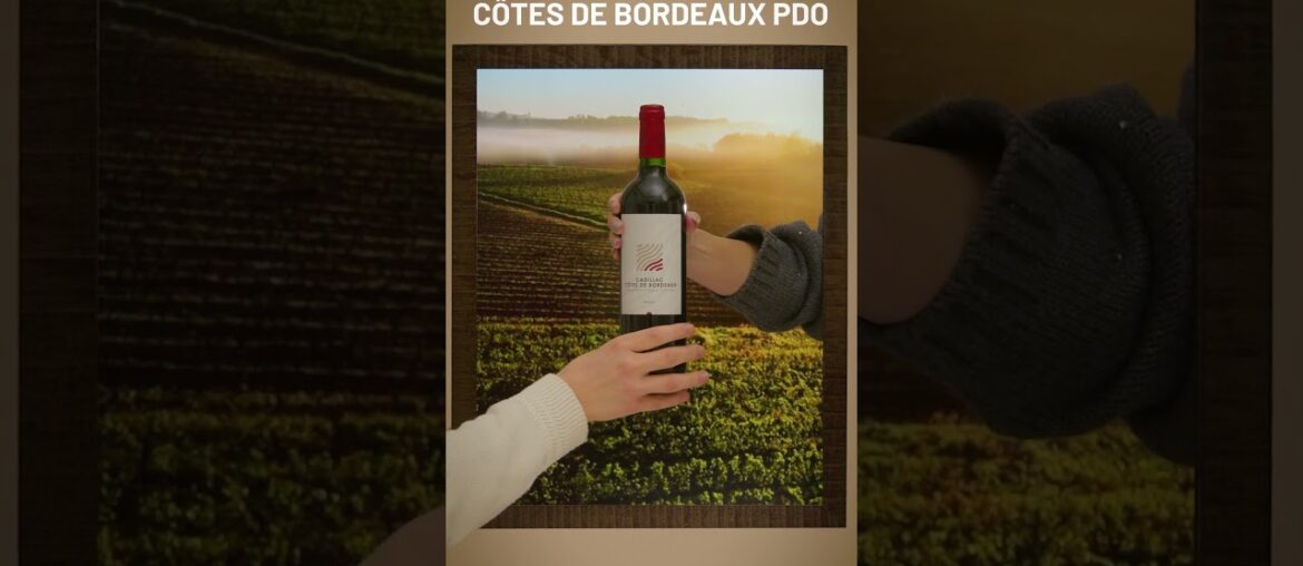 Discover Cadillac PDO wines!