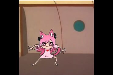 French Spitten, Kitten Nyanus