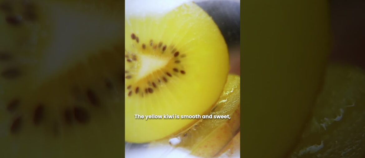 French Kiwis: the iconic winter fruit 🥝| Ask The Expert