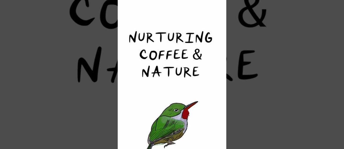 The Secret Behind the Best Coffee? 🌳☕ It’s the Forest #shorts