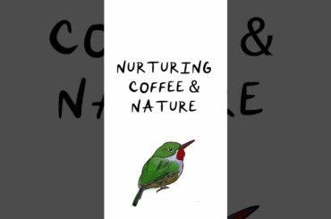 The Secret Behind the Best Coffee? 🌳☕ It’s the Forest #shorts