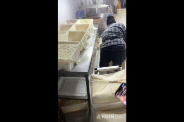 🔴LIVE🔴🤫Gourmet Tofu