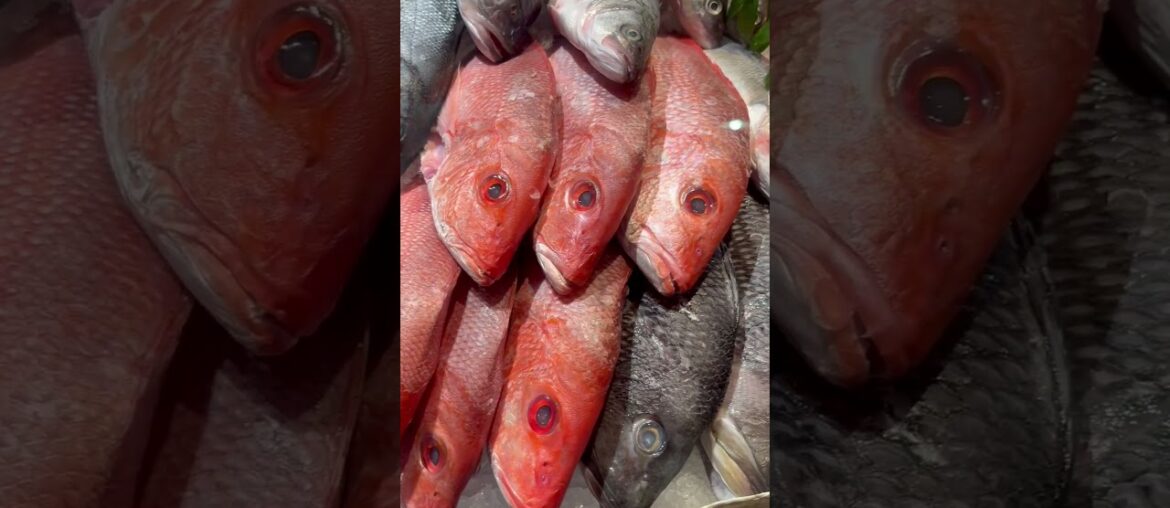 Inside the Most Luxurious Gourmet Store in NYC: Step into Eataly