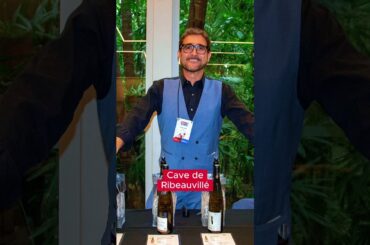 Como foi a Foire Chez France 2025 | Um encontro com grandes vinhos franceses