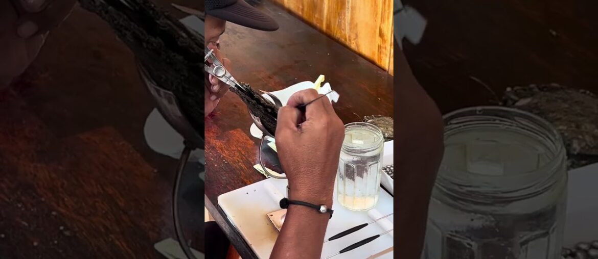 2025-09 Pearl Factory French Polynesia