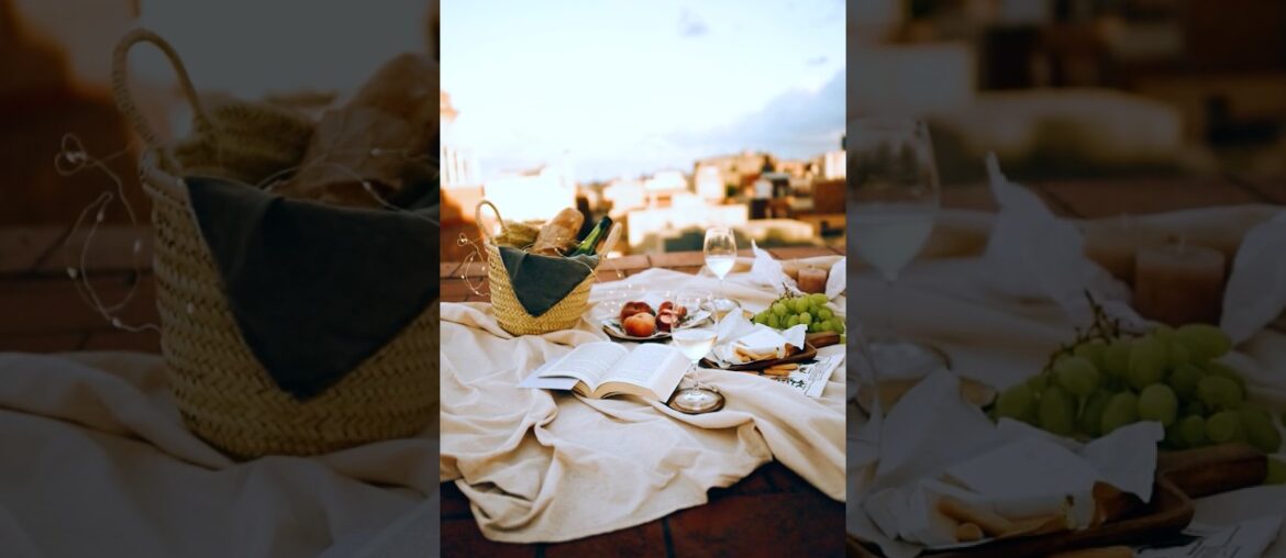 Europe Vineyards Landscapes of France Travel Aesthetic