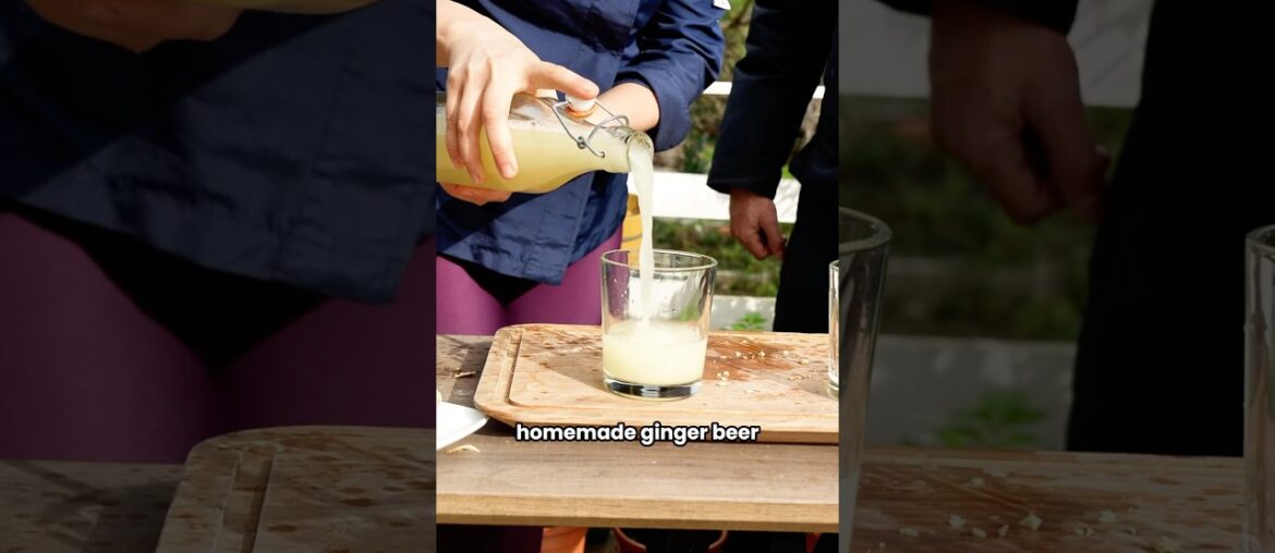 Make your own Ginger Beer 💚 #gardening #recipe #gingerbeer