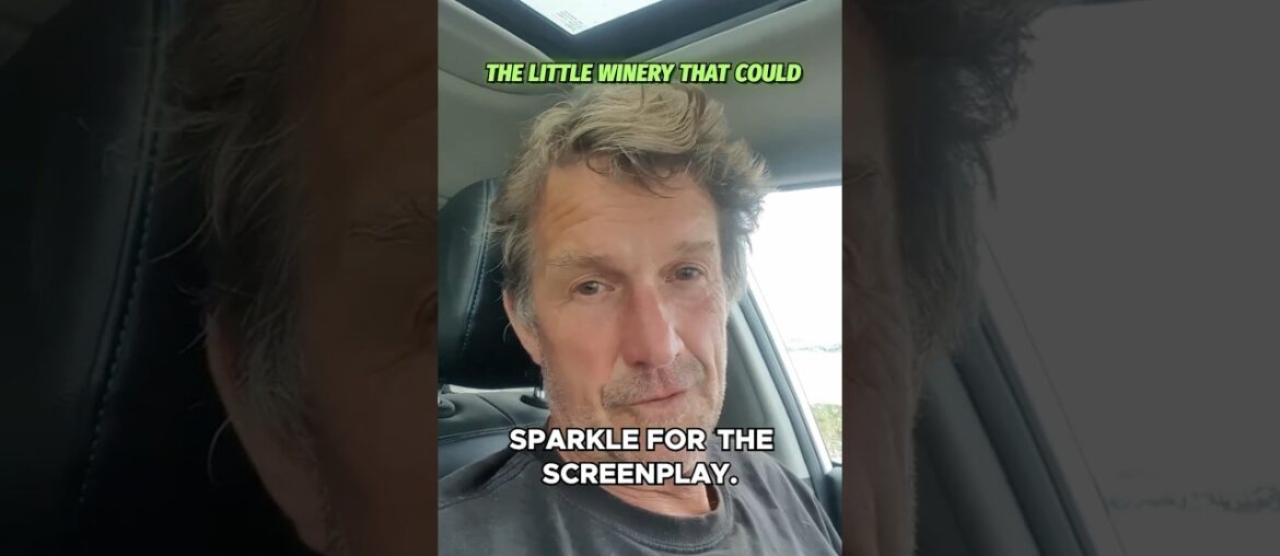 The True Story Behind 'Sparkle'  Danish Fruit Wine vs  French Snobs!