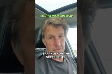 The True Story Behind 'Sparkle'  Danish Fruit Wine vs  French Snobs!