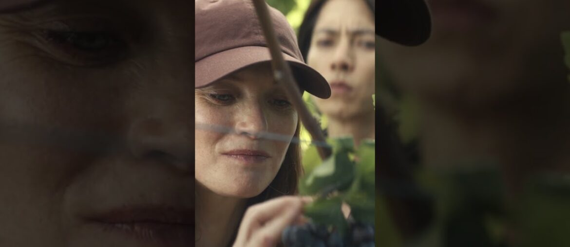 Hiding out in a wine vineyard has its perks. #DropsOfGod Season 2 — Now Streaming