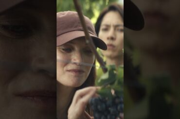 Hiding out in a wine vineyard has its perks. #DropsOfGod Season 2 — Now Streaming